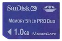 1GB 10p Memory Stick Pro Duo w/o Adapter Bulk, Sa