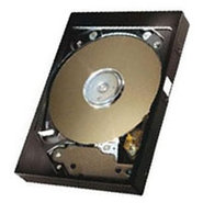 40GB IDE ATA133 7200RPM 3.5in x 1in 40p 133MB/s H