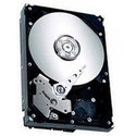 40GB IDE ATA100 5400RPM 3.5in x 1in 40p 100MB/s H