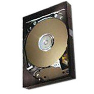 30GB IDE ATA133 5400RPM 3.5in x 1in 40p 133MB/s H