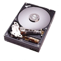 80GB IDE ATA133 5400RPM 3.5in x 1in 40p 133MB/s H