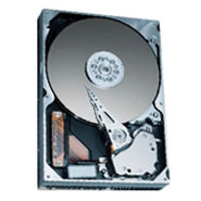 300GB IDE ATA133 5400RPM 3.5in x 1in 40p 133MB/s 