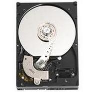 250GB SATA 7200RPM 3.5in x 1in 15p 1.5Gb/s 16MB C