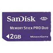 2GB 10p Memory Stick Pro Duo w/o Adapter Retail, 