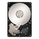 40GB IDE ATA100 5400RPM 3.5in x 1in 40p 100MB/s H