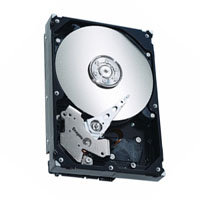 60GB IDE ATA100 7200RPM 3.5in x 1in 40p 100MB/s H