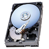 40GB SATAII 7200RPM 3.5in x 1in 15p 3.0Gb/s HDD, 