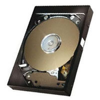 40GB IDE ATA133 7200RPM 3.5in x 1in 40p 133MB/s H