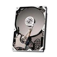 100GB IDE ATA133 7200RPM 3.5in x 1in 40p 133MB/s 