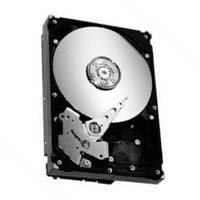 20GB IDE ATA133 7200RPM 3.5in x 1in 40p 133MB/s H