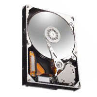 250GB IDE ATA133 7200RPM 3.5in x 1in 40p 133MB/s 