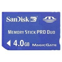 4GB 10p Memory Stick Pro Duo without Adapter Reta