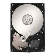 40GB IDE ATA100 5400RPM 3.5in x 1in 40p 100MB/s H