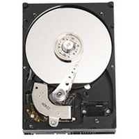 300GB SATA 7200RPM 3.5in x 1in 15p 1.5Gb/s HDD, H