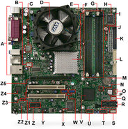 102007 D915GAG D915PSY