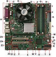 102007 D915GAG D915PSY