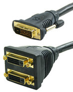 DVI Splitter 30cm Gold