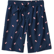 Big Men's Mini Americana Flag Boardshorts