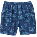 Men's Pull-On Island Printed Swim Shorts