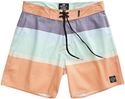 Critical Slide Society Squeezed Boardshort Multi