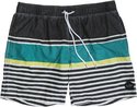 Globe Wylie Pool Short Green