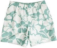 Quiksilver Waterman Bombora Volley Green