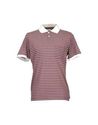Polo shirts - Item 37413357