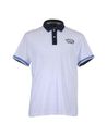 Polo shirts - Item 37426606