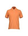 Polo shirts - Item 37430686