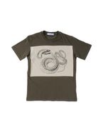 Short sleeve t-shirts - Item 37439949