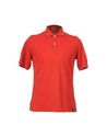 Polo shirts - Item 37410715