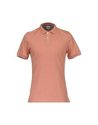 Polo shirts - Item 37423378