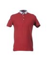 Polo shirts - Item 37420641