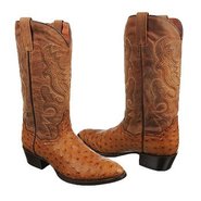 Tempe Boots (Brown) - Men's Boots - 9.5 D