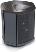 Martin Logan Depth i Black Subwoofer - DPIBLBAD