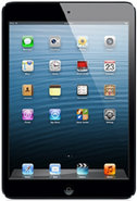 16GB Black Wi-Fi iPad Mini - MD528LL/A