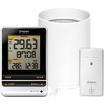 Rain Gauge w/Thermometer