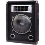 300 Watt 2-Way 10-IN Speaker Cabinet