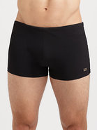 Oyster Swim Shorts