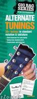 Amsco Gig Bag Book of Alternate Tunings for all Gu