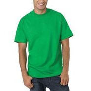 Short Sleeve Beefy T-Shirt 5180