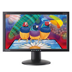 22  VA2223wm-LED Widescreen LED-LCD Monitor, Black