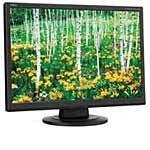 NEC 22  AS221WM-BK Analog/Digital