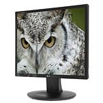 LG 19  E1910T-BN LED-LCD Monitor, Black
