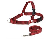 EWHREFHCXRED Reflective Easy Walk Harness Extra La